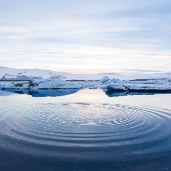 Arctic Review – реклама информационного портала об Арктике